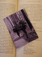 Forest Light and Shadows Photo Print (Set of 2) | Magic of Uttarakhand | 3 x 4 inches