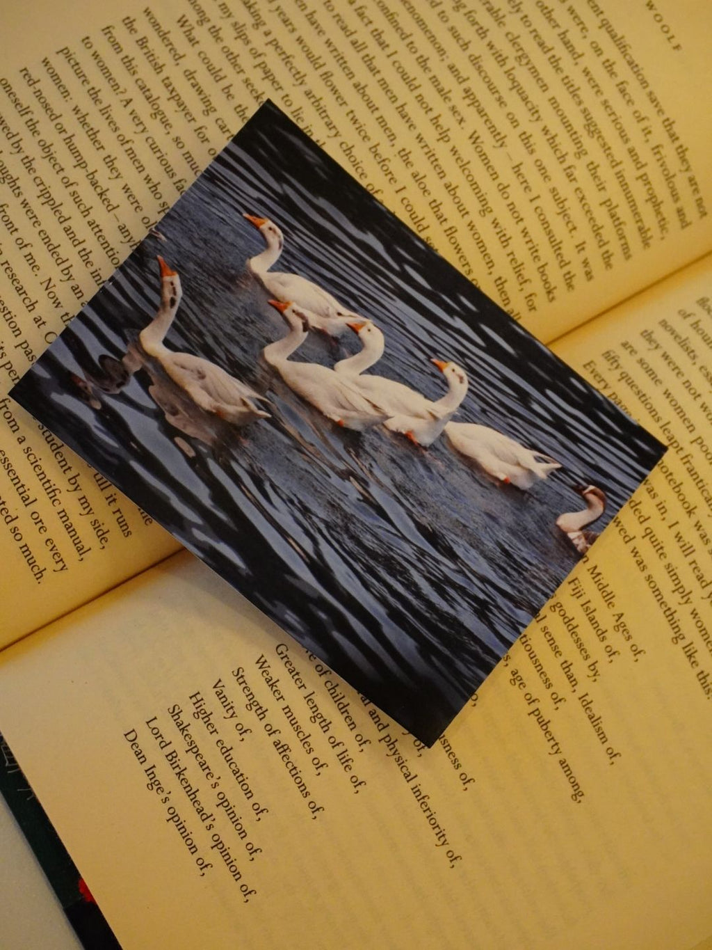 Swans and Snow Peaks of Uttarakhand Photo Print (Set of 2) | Uttarakhand Serenity | 3 x 4 inches