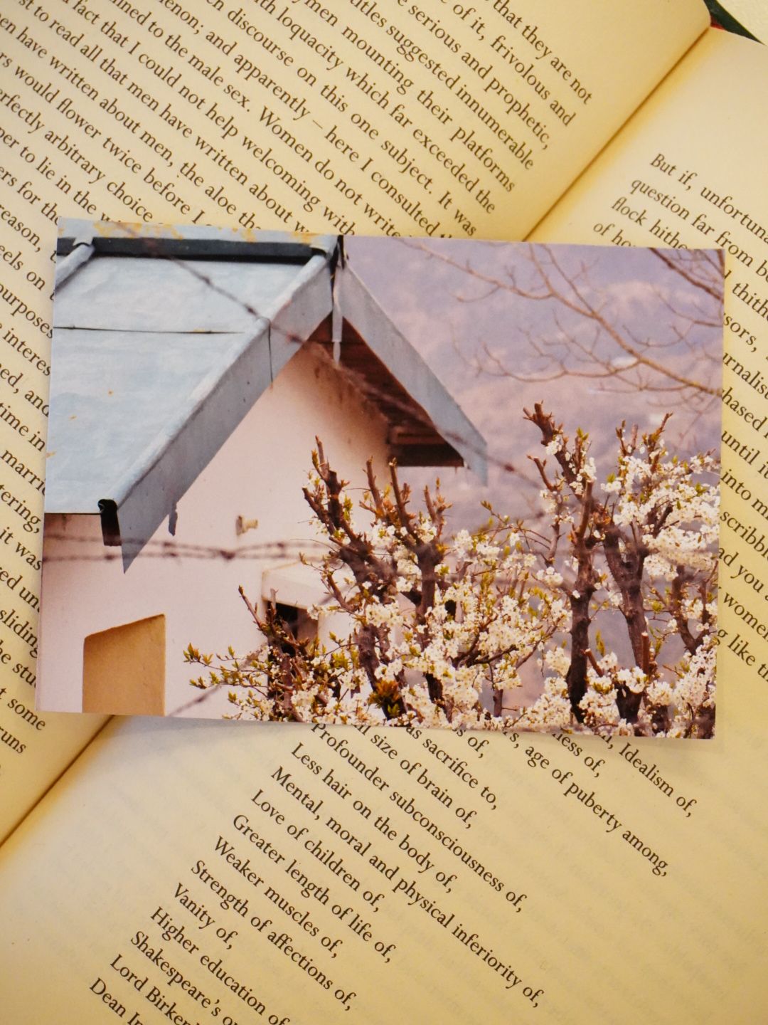 Dhanaulti Spring Blossom Photo Print | Mountain Art | 3 x 4 inches