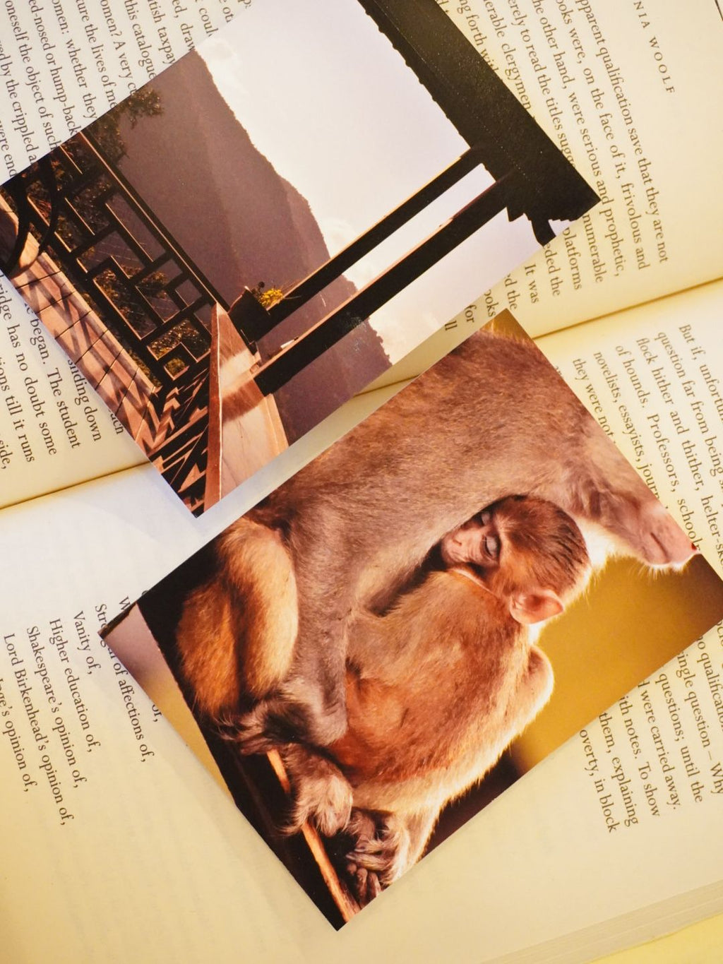 Warm Embrace of Mountains Photo Print (Set of 2) | Wildlife Love in Uttarakhand | 3 x 4 inches