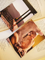 Warm Embrace of Mountains Photo Print (Set of 2) | Wildlife Love in Uttarakhand | 3 x 4 inches