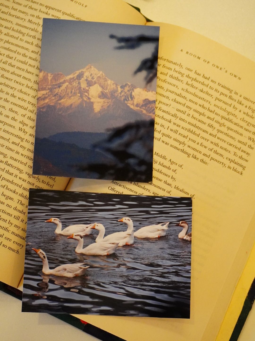Swans and Snow Peaks of Uttarakhand Photo Print (Set of 2) | Uttarakhand Serenity | 3 x 4 inches